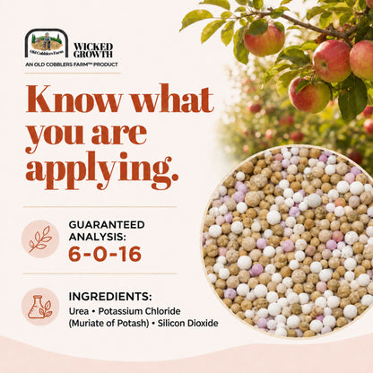 Wicked Growth Apple Tree Fertilizer