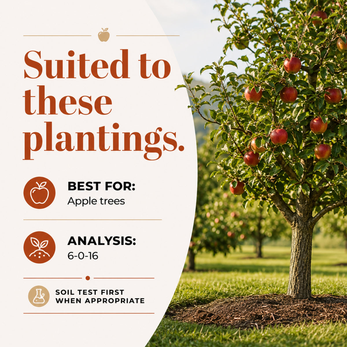 Wicked Growth Apple Tree Fertilizer