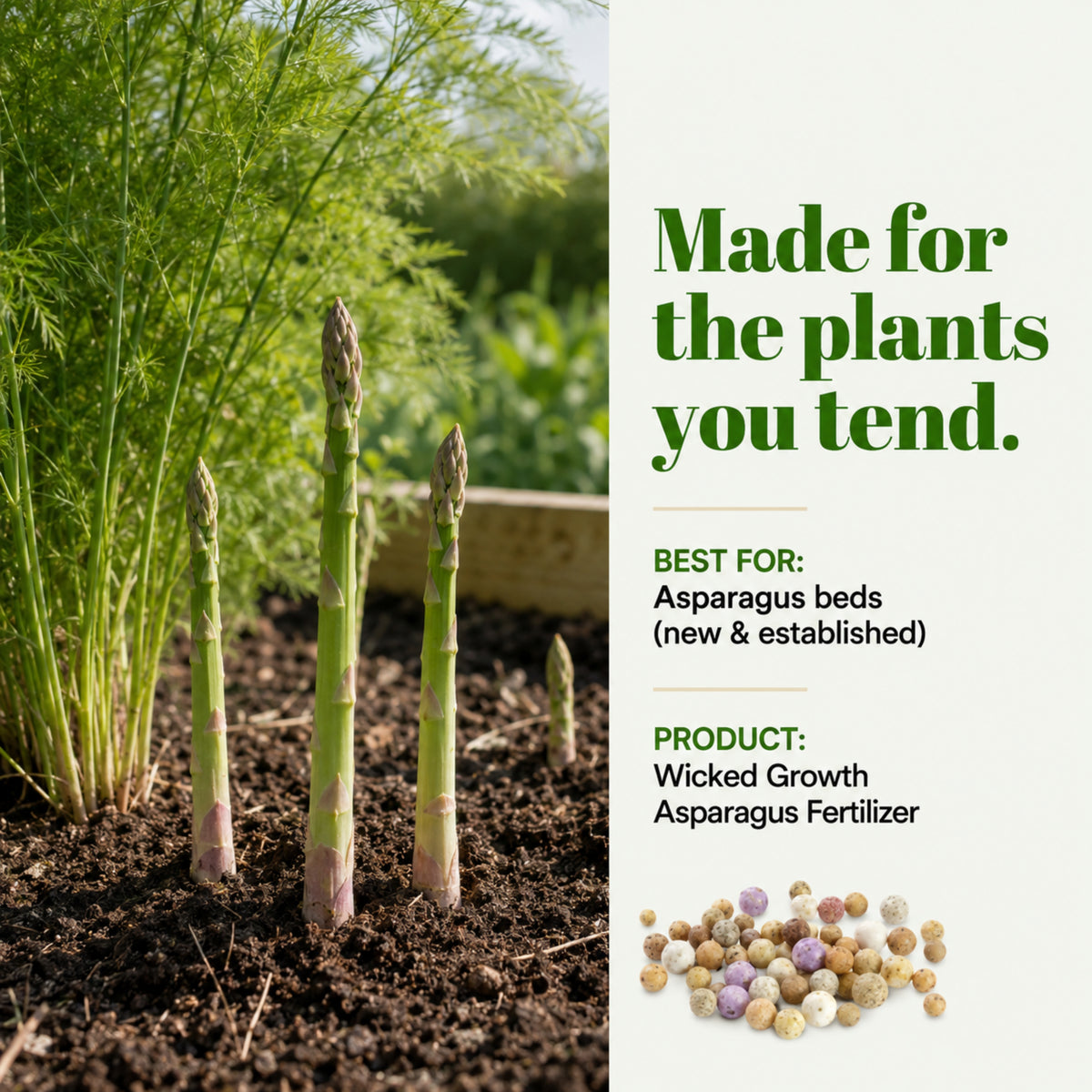 Wicked Growth Asparagus Fertilizer