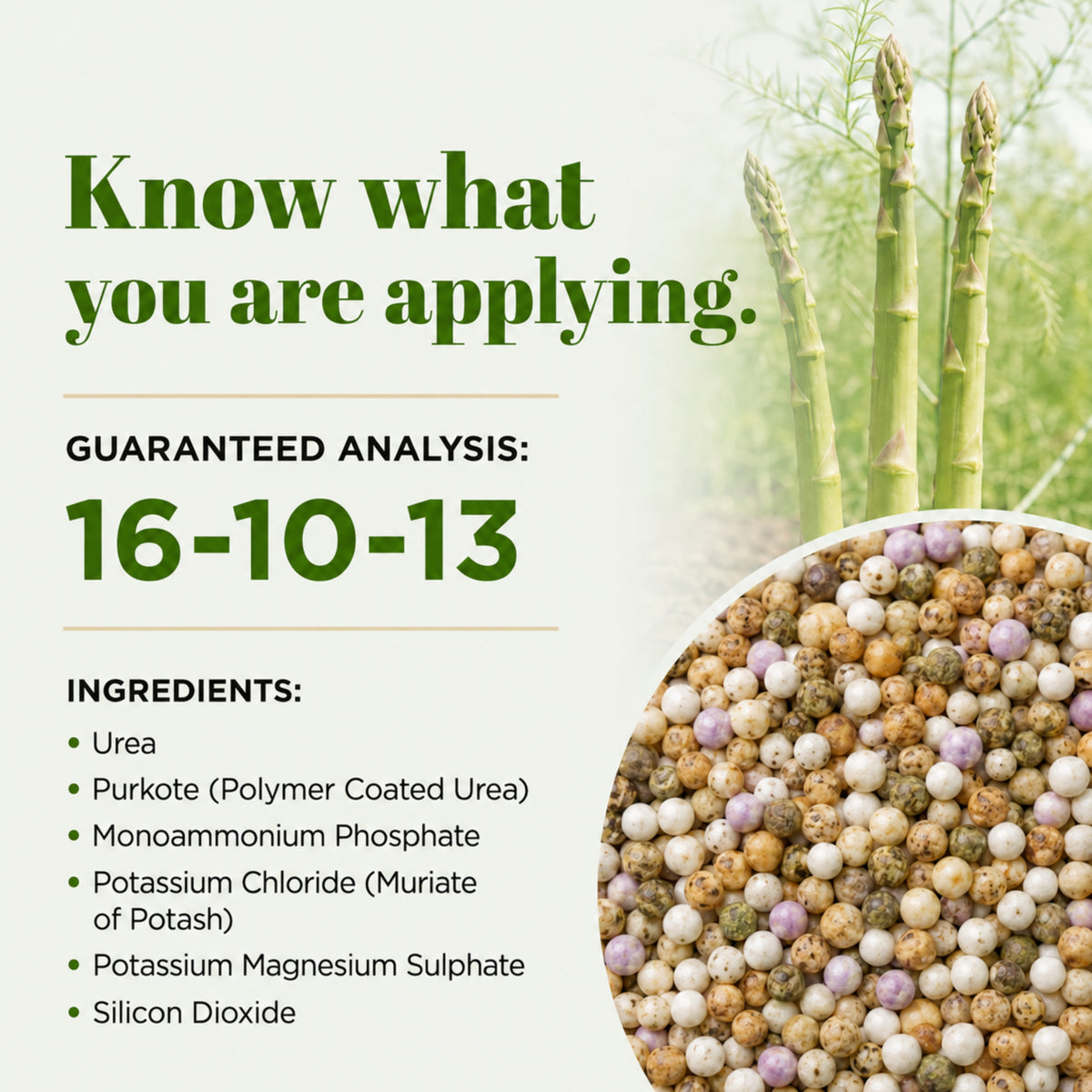 Wicked Growth Asparagus Fertilizer