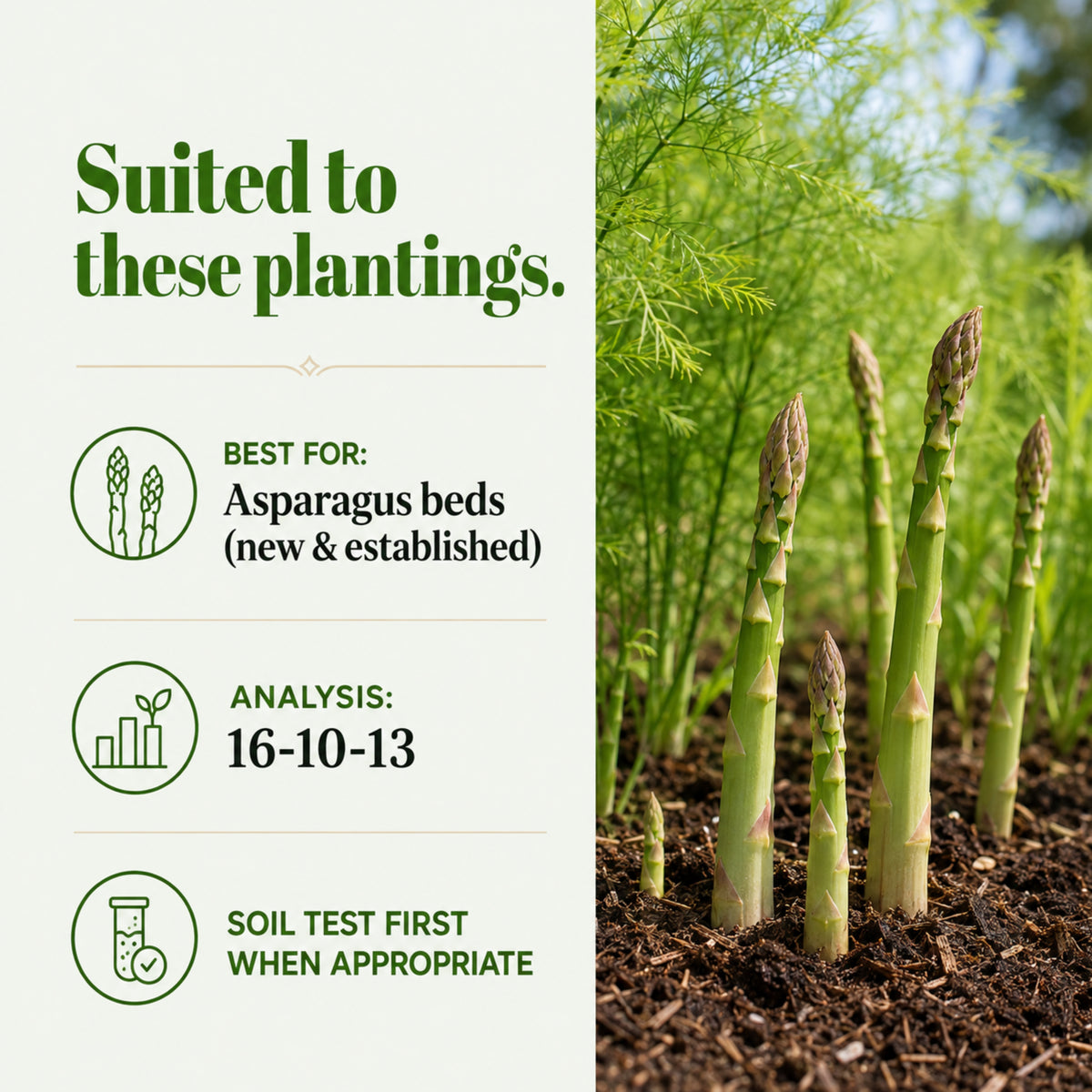 Wicked Growth Asparagus Fertilizer