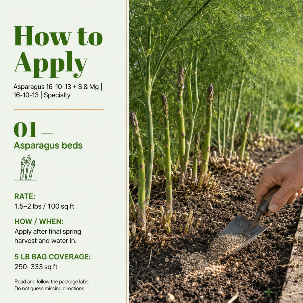 Wicked Growth Asparagus Fertilizer