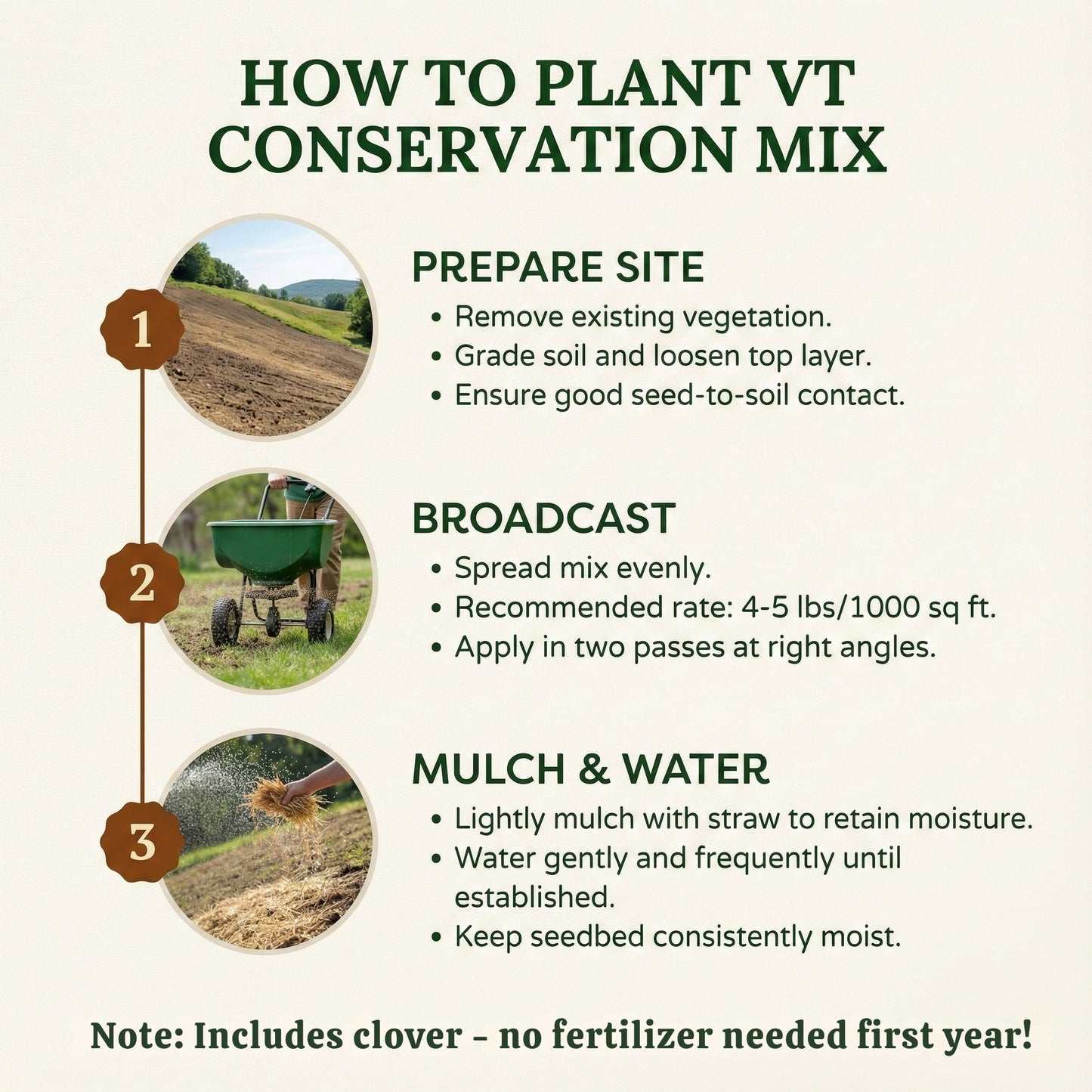 Wicked Tuff Turf All Purpose Lawn Mix Seed - VT Conservation Mix