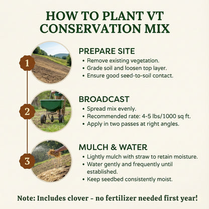 Wicked Tuff Turf All Purpose Lawn Mix Seed - VT Conservation Mix