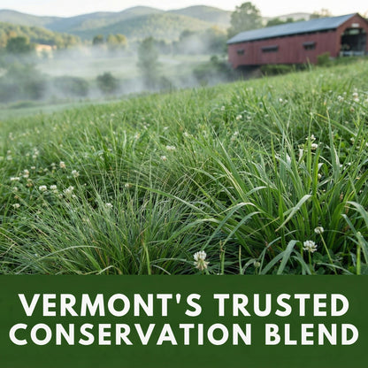 Wicked Tuff Turf All Purpose Lawn Mix Seed - VT Conservation Mix