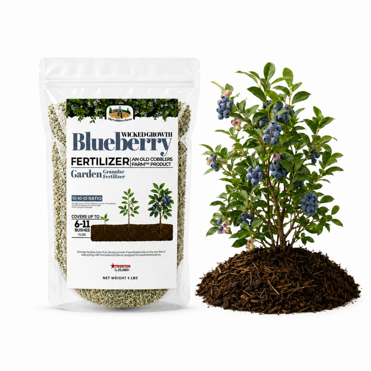 Wicked Growth Blueberry Fertilizer