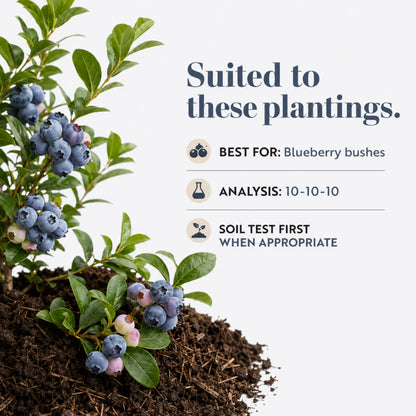 Wicked Growth Blueberry Fertilizer
