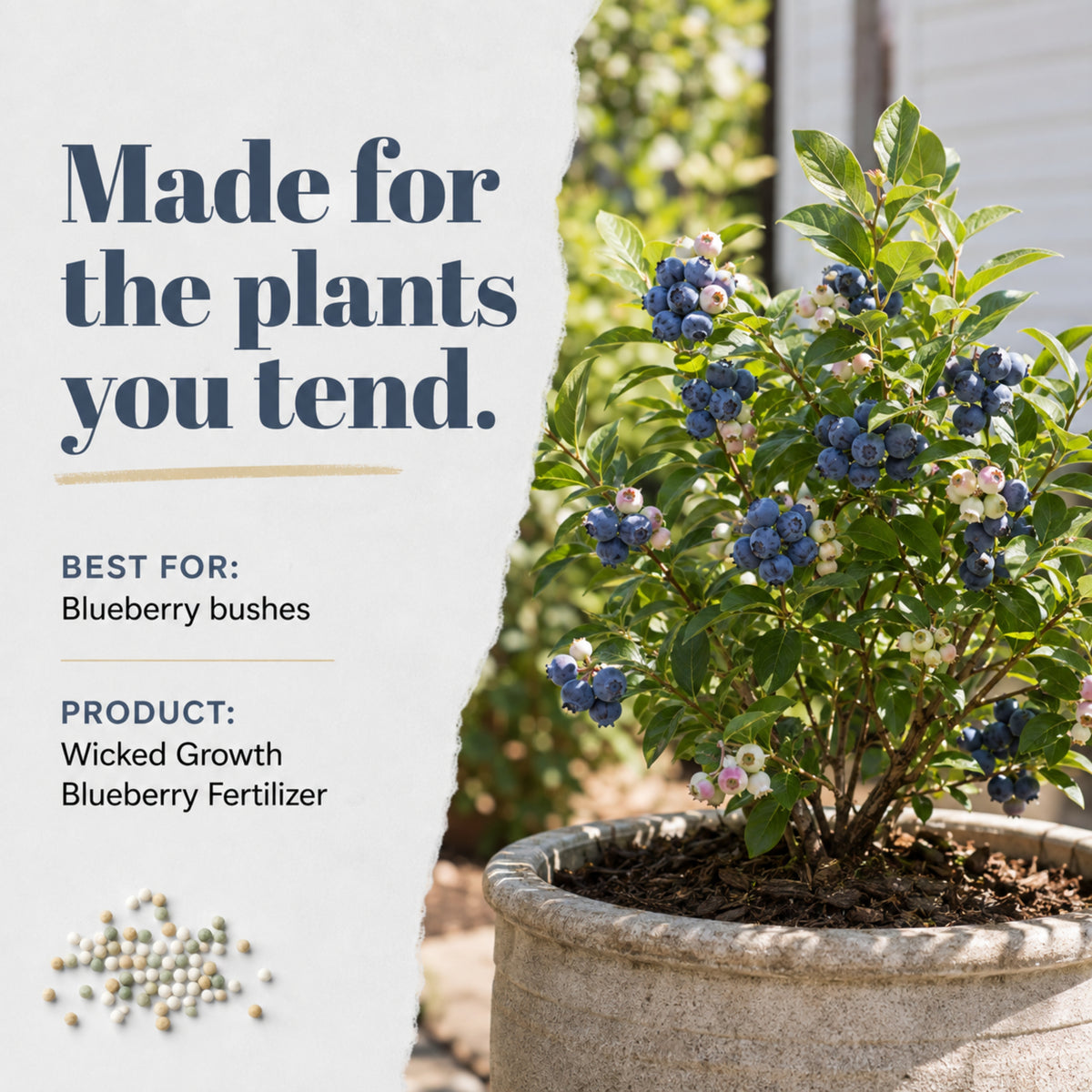 Wicked Growth Blueberry Fertilizer