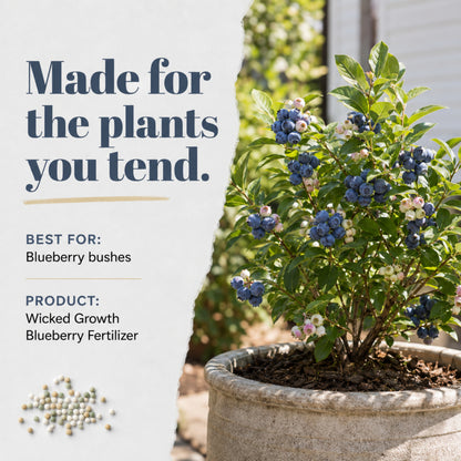 Wicked Growth Blueberry Fertilizer