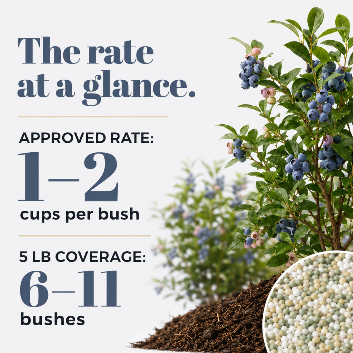Wicked Growth Blueberry Fertilizer