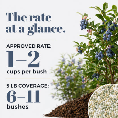 Wicked Growth Blueberry Fertilizer