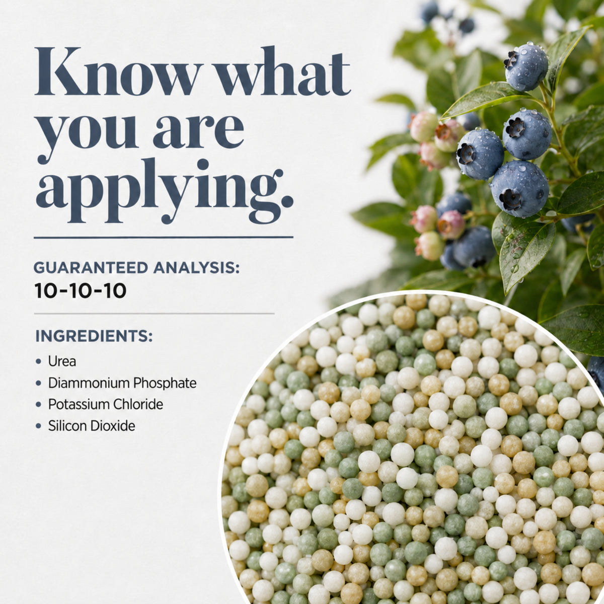 Wicked Growth Blueberry Fertilizer