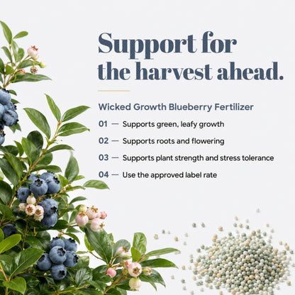 Wicked Growth Blueberry Fertilizer