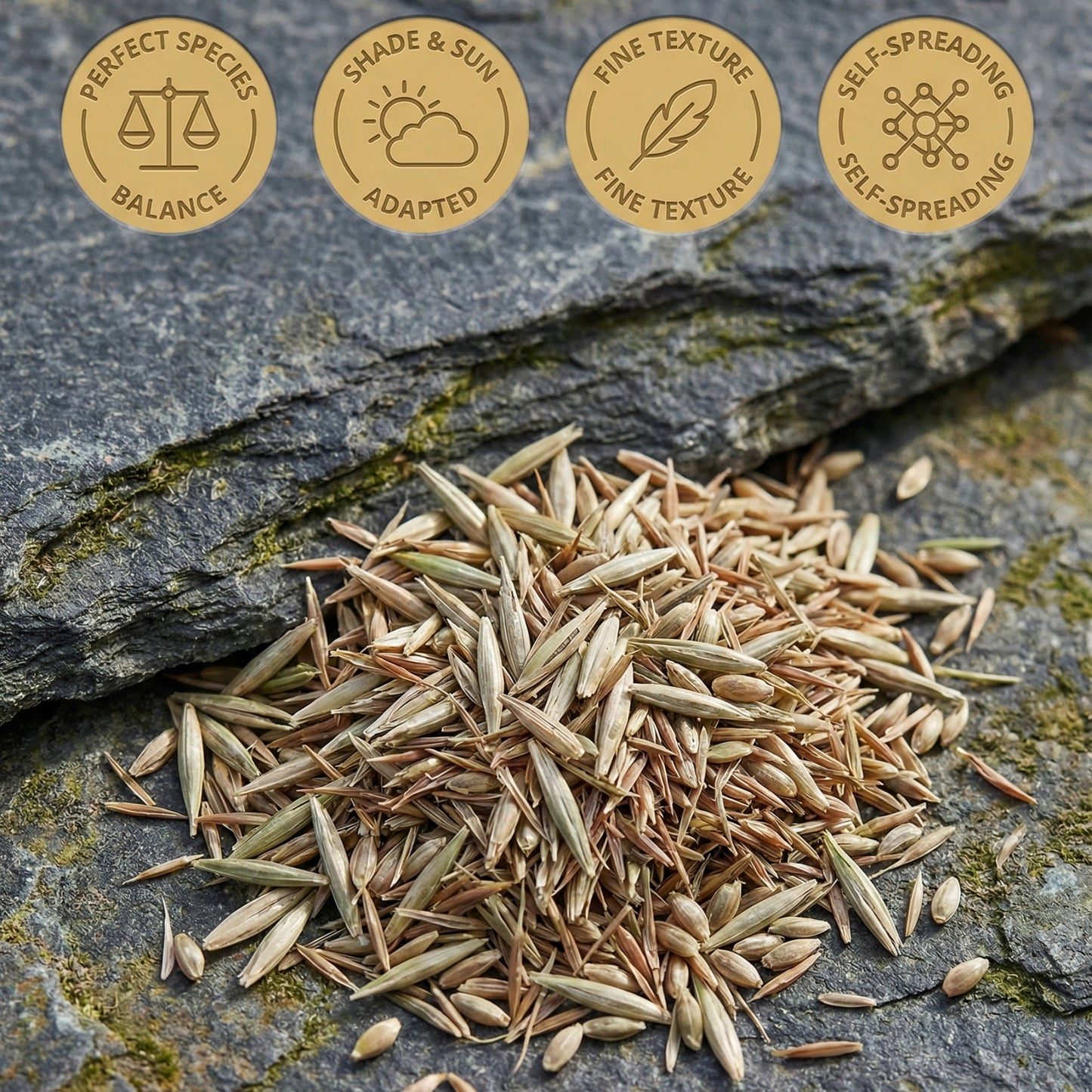 Wicked Tuff Turf Balanced Lawn Mix Seed - Green Mountain Special