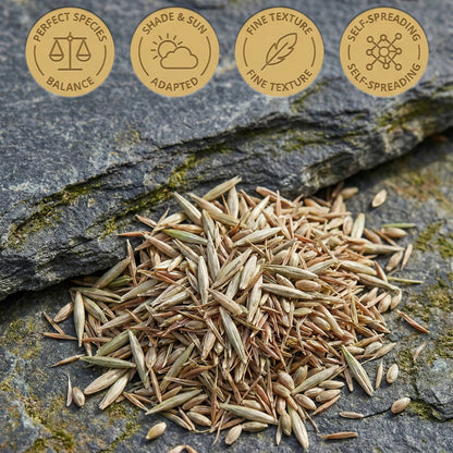 Wicked Tuff Turf Balanced Lawn Seed Mix - Contractor’s Mix
