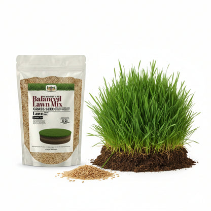Wicked Tuff Turf Balance Lawn Mix Seed