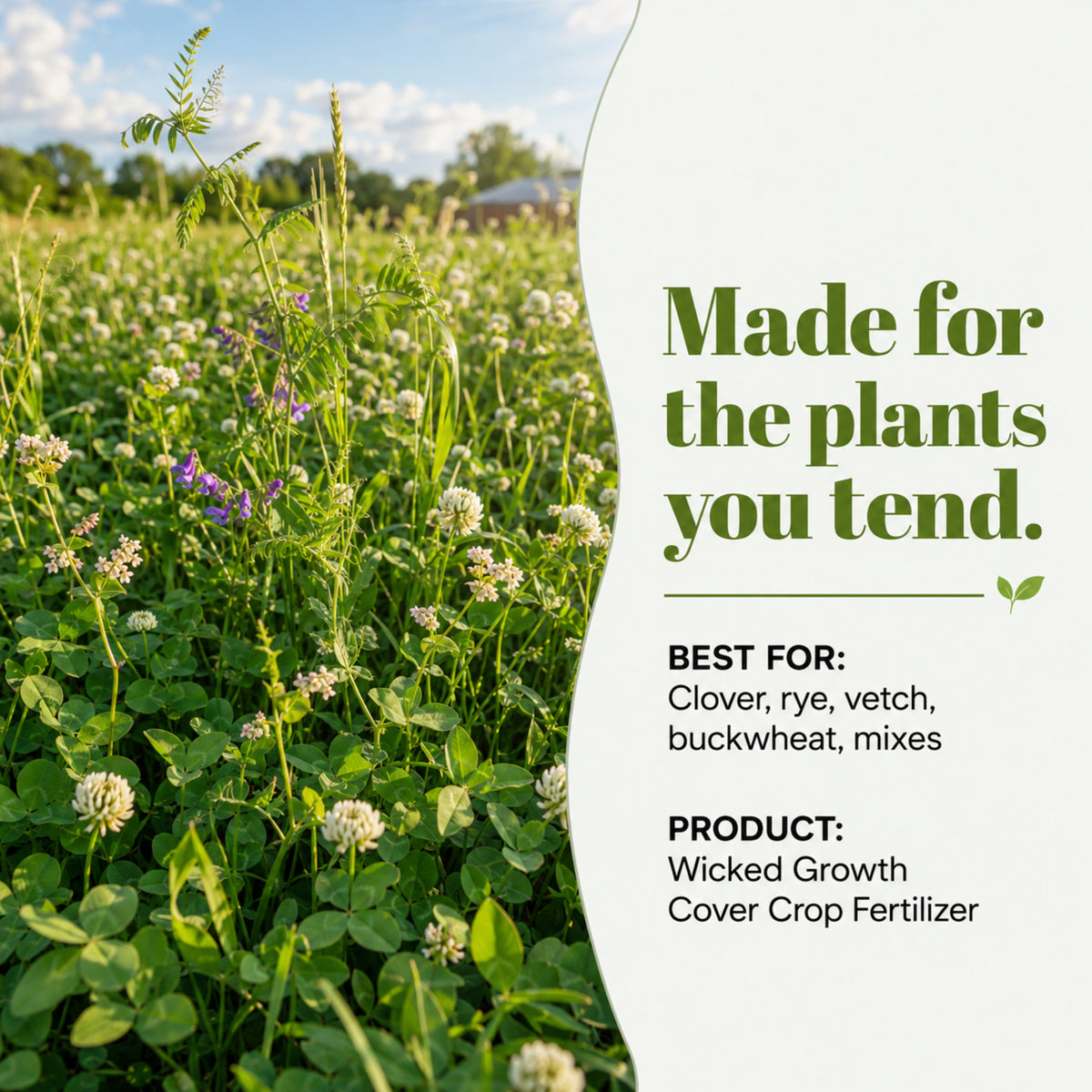 Wicked Growth Cover Crops Fertilizer