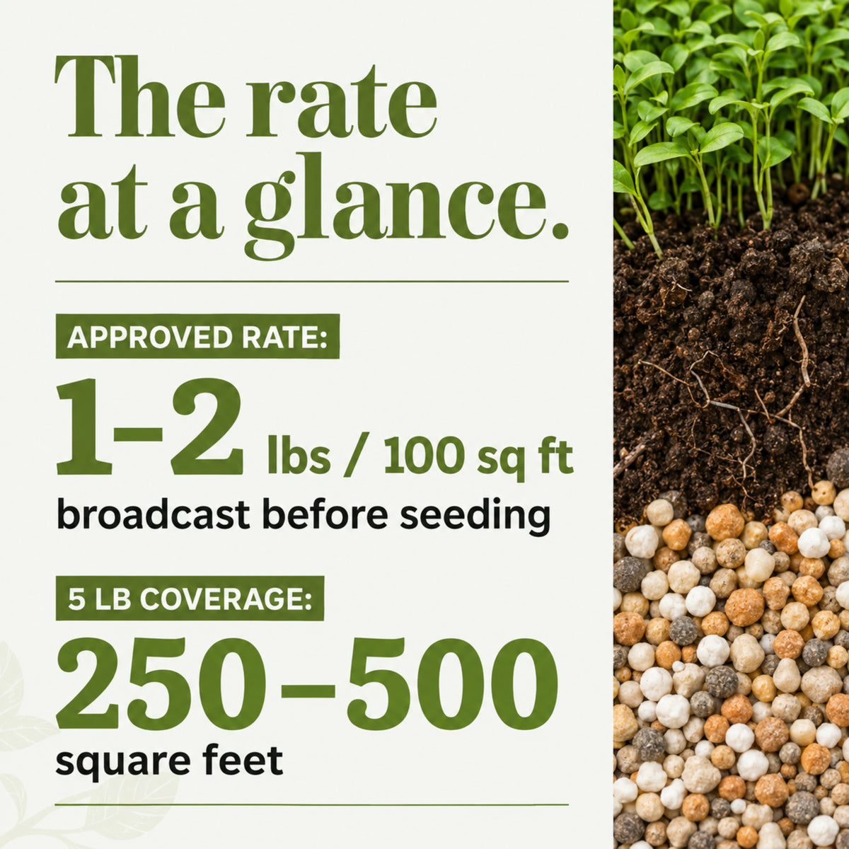 Wicked Growth Cover Crops Fertilizer
