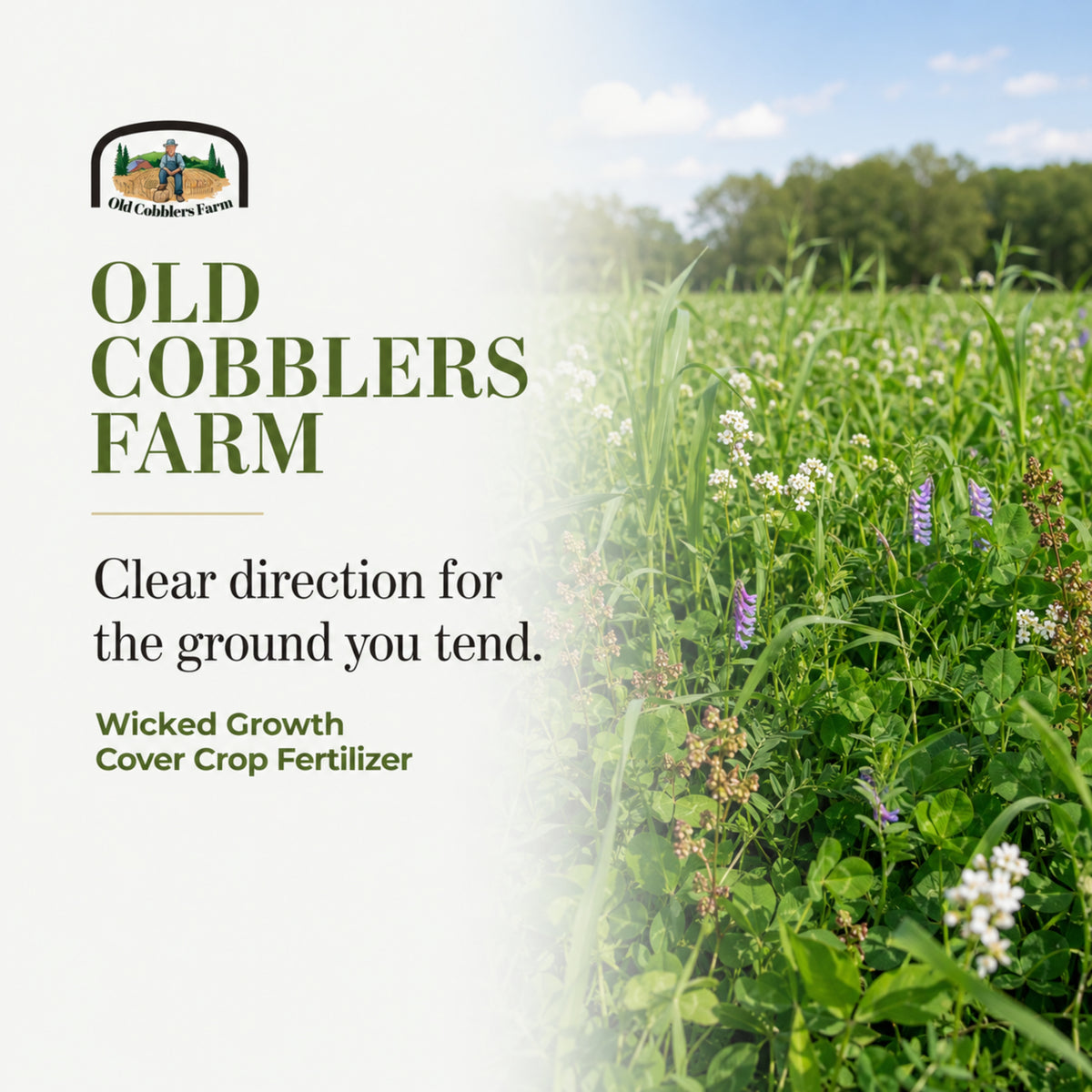 Wicked Growth Cover Crops Fertilizer