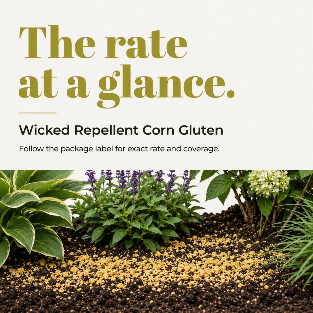 Wicked Repellent Corn Gluten