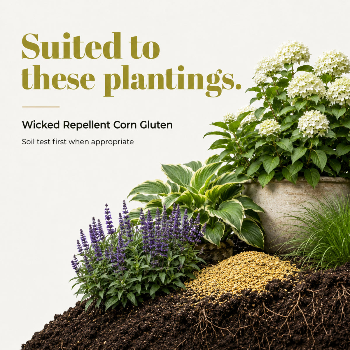 Wicked Repellent Corn Gluten