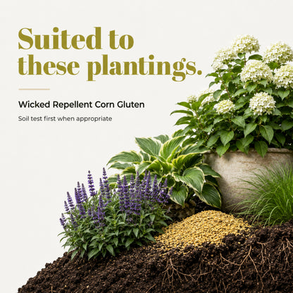 Wicked Repellent Corn Gluten