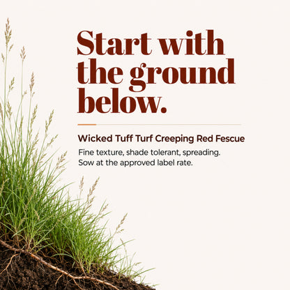 Wicked Tuff Turf Creeping Red Fescue Seed
