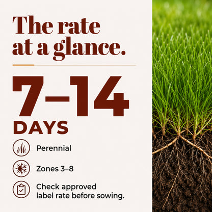 Wicked Tuff Turf Creeping Red Fescue Seed