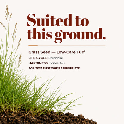 Wicked Tuff Turf Creeping Red Fescue Seed