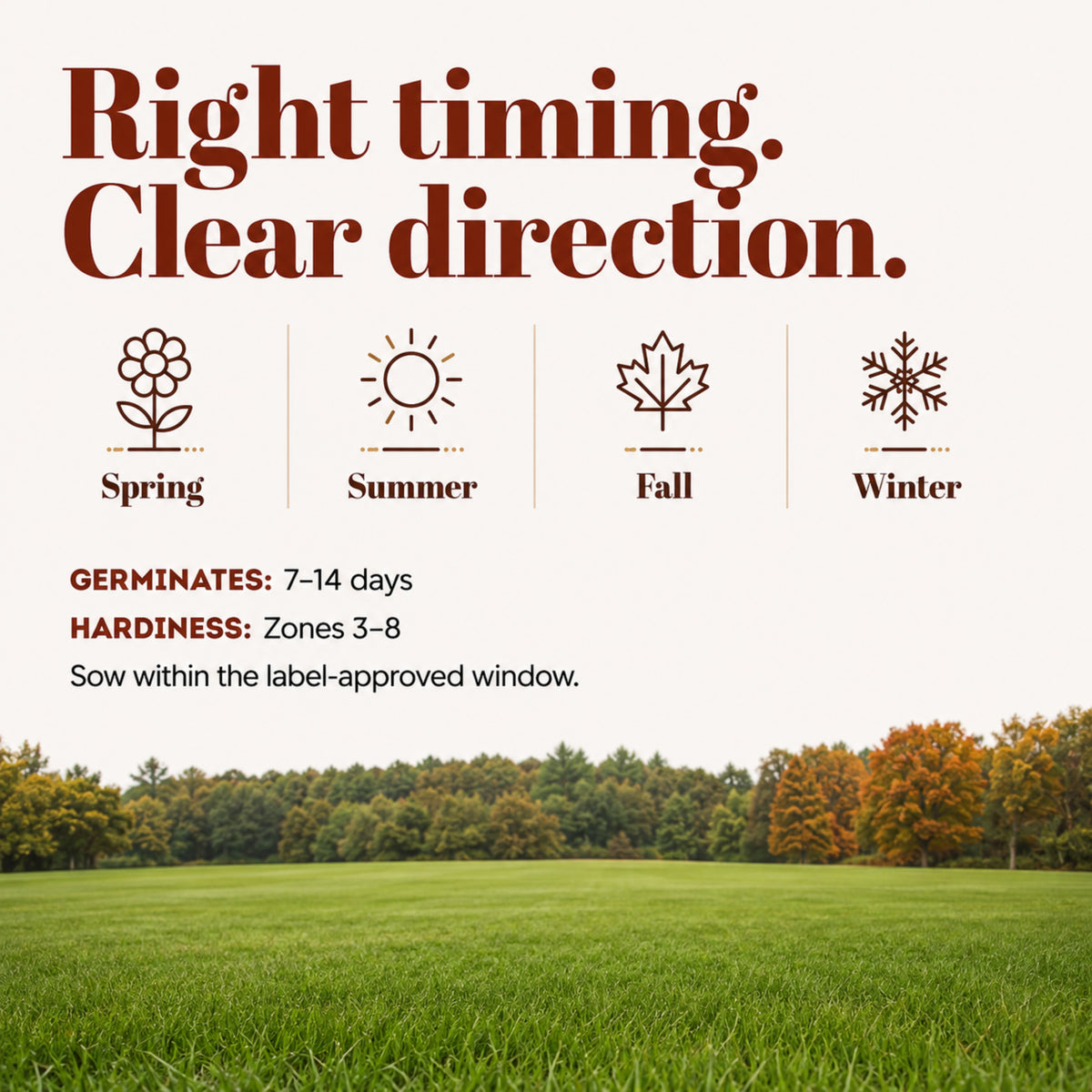 Wicked Tuff Turf Creeping Red Fescue Seed