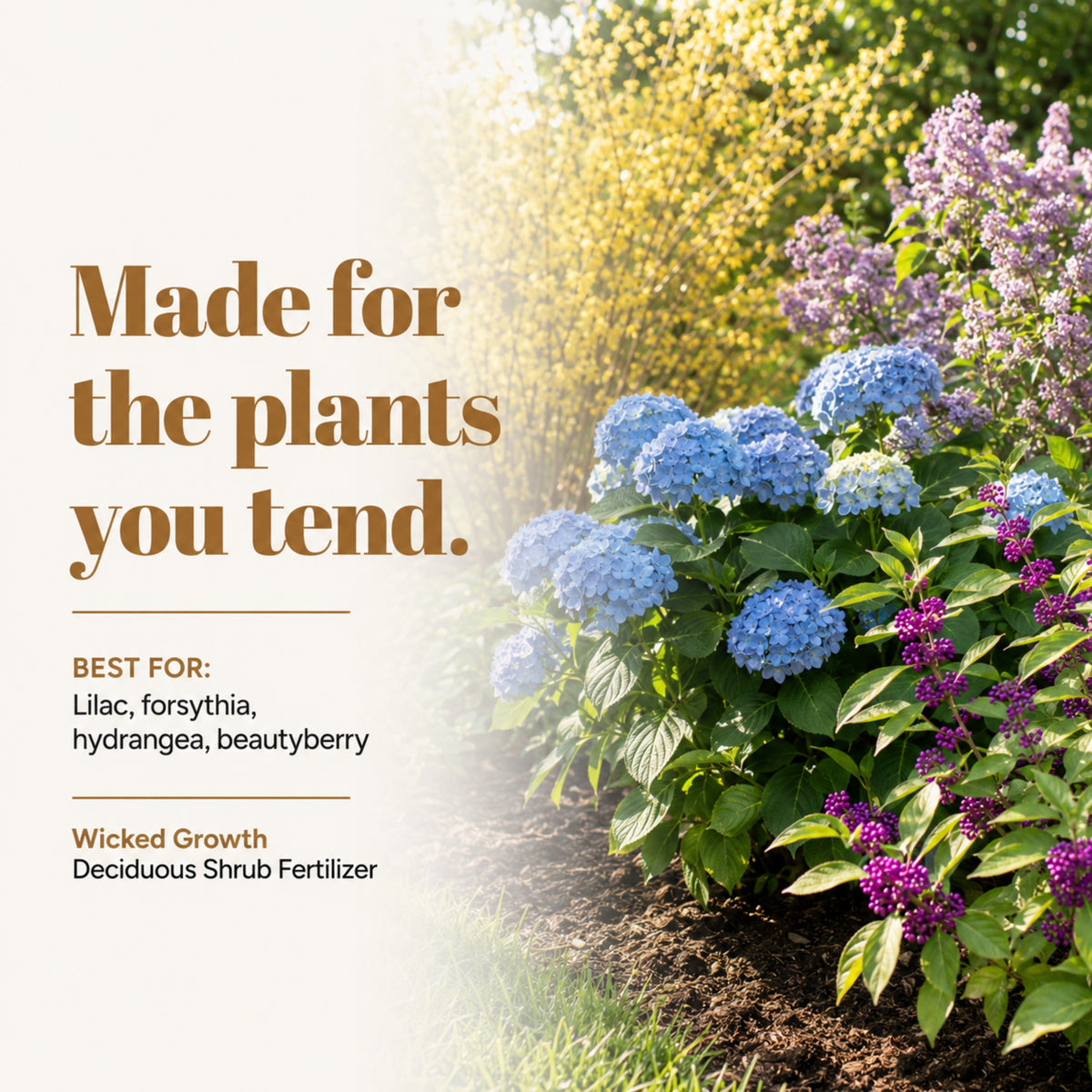Wicked Growth Deciduous Shrubs Fertilizer