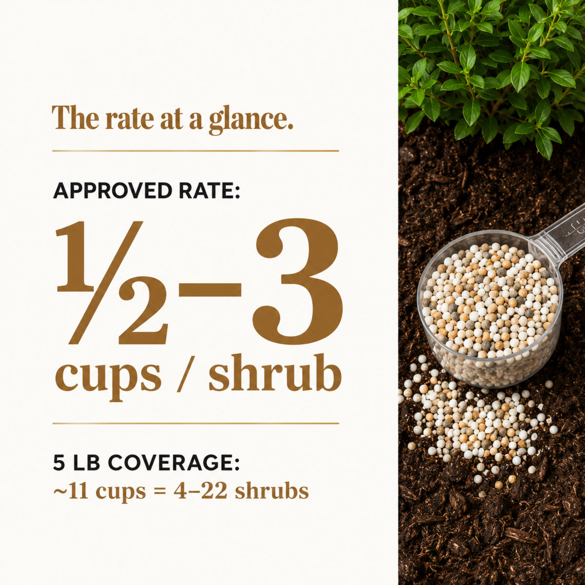 Wicked Growth Deciduous Shrubs Fertilizer