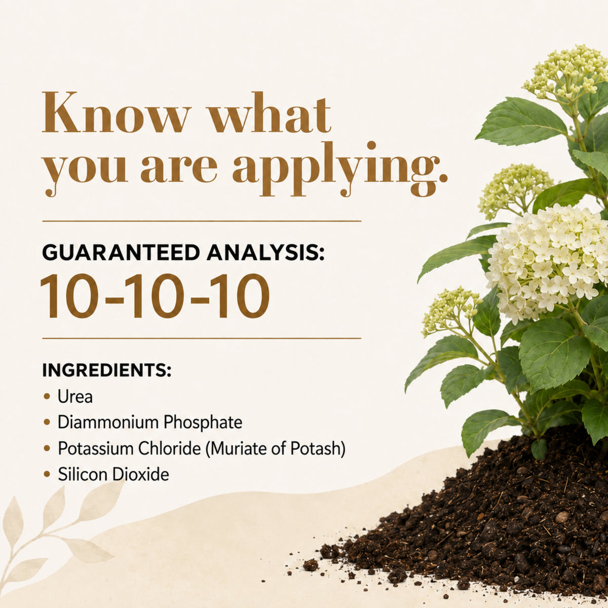 Wicked Growth Deciduous Shrubs Fertilizer