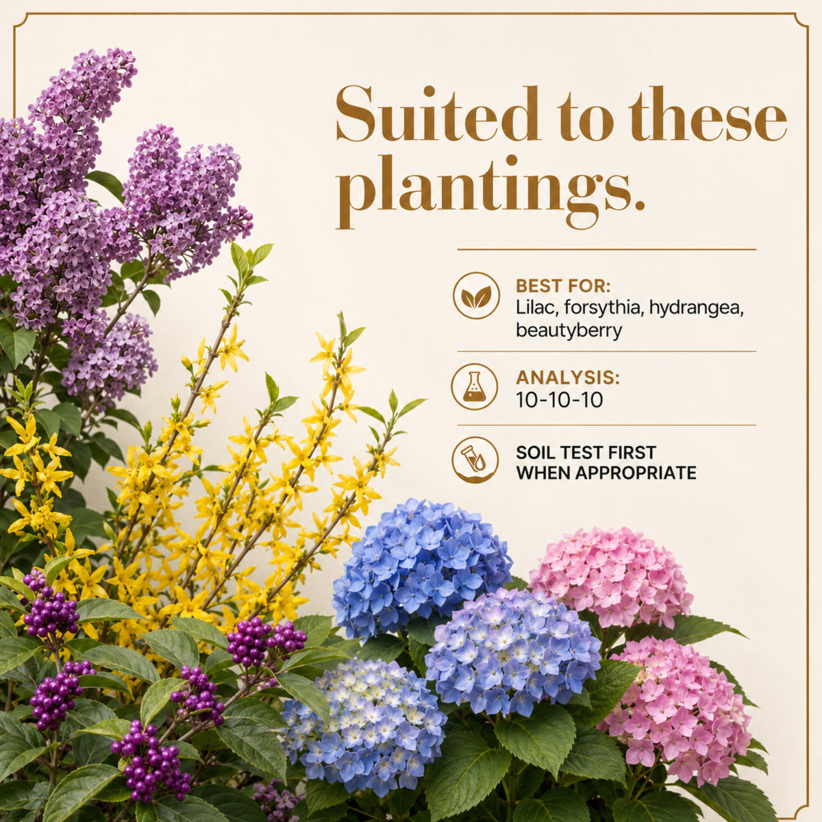 Wicked Growth Deciduous Shrubs Fertilizer