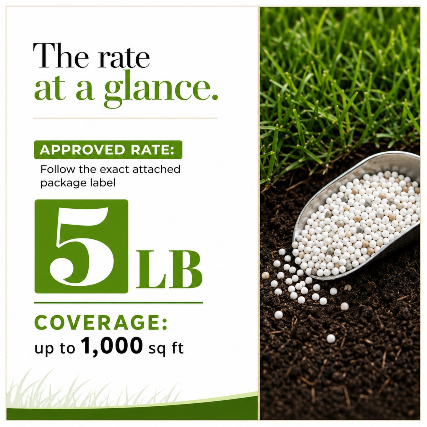 Wicked Growth Deep Green Lawn Mix 20-0-12 Fertilizer