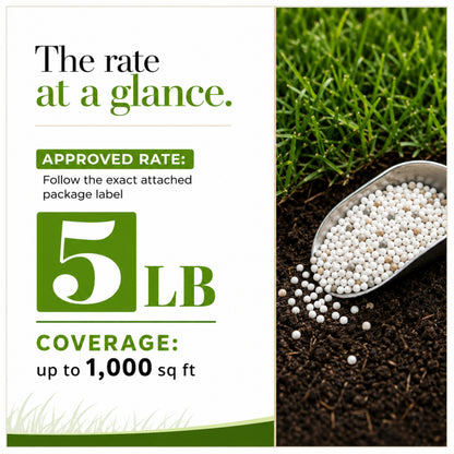 Wicked Growth Deep Green Lawn Mix 20-0-12 Fertilizer