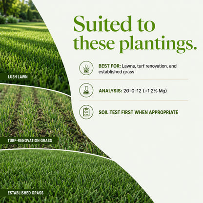 Wicked Growth Deep Green Lawn Mix 20-0-12 Fertilizer