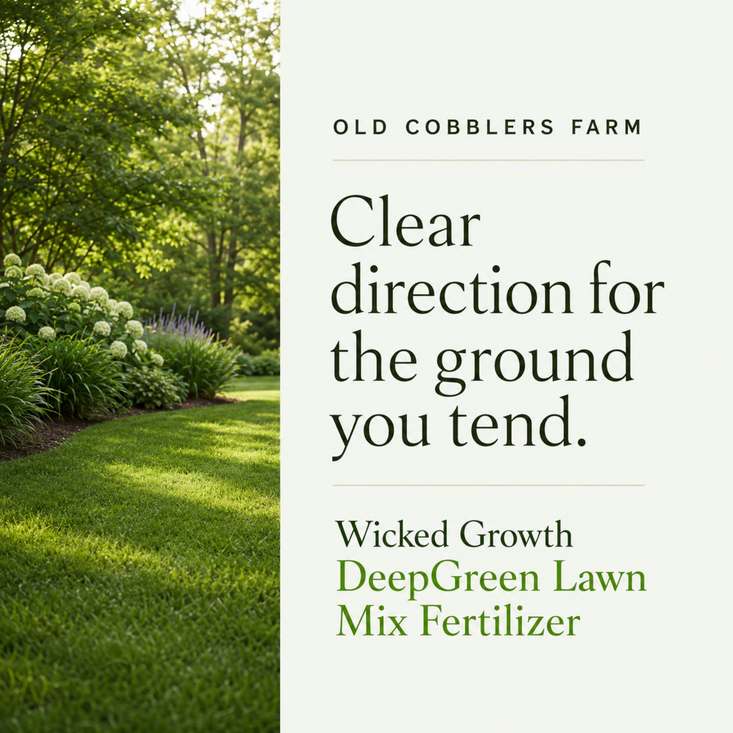 Wicked Growth Deep Green Lawn Mix 20-0-12 Fertilizer