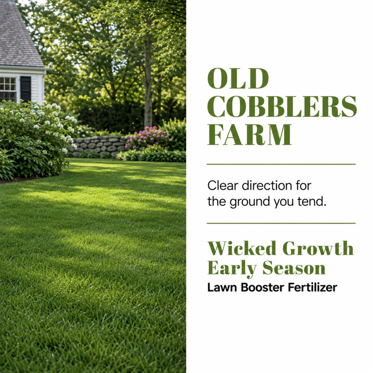 Wicked Growth Early Season Lawn Booster 6-16-12 Fertilizer