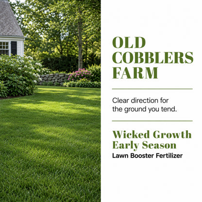 Wicked Growth Early Season Lawn Booster 6-16-12 Fertilizer