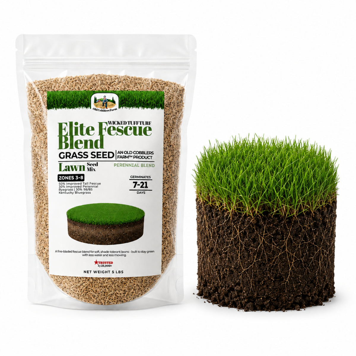 Wicked Tuff Turf Elite Fescue Blend Seed