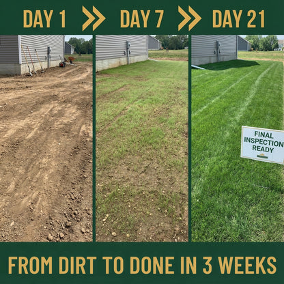 Wicked Tuff Turf Elite Fescue Blend Seed