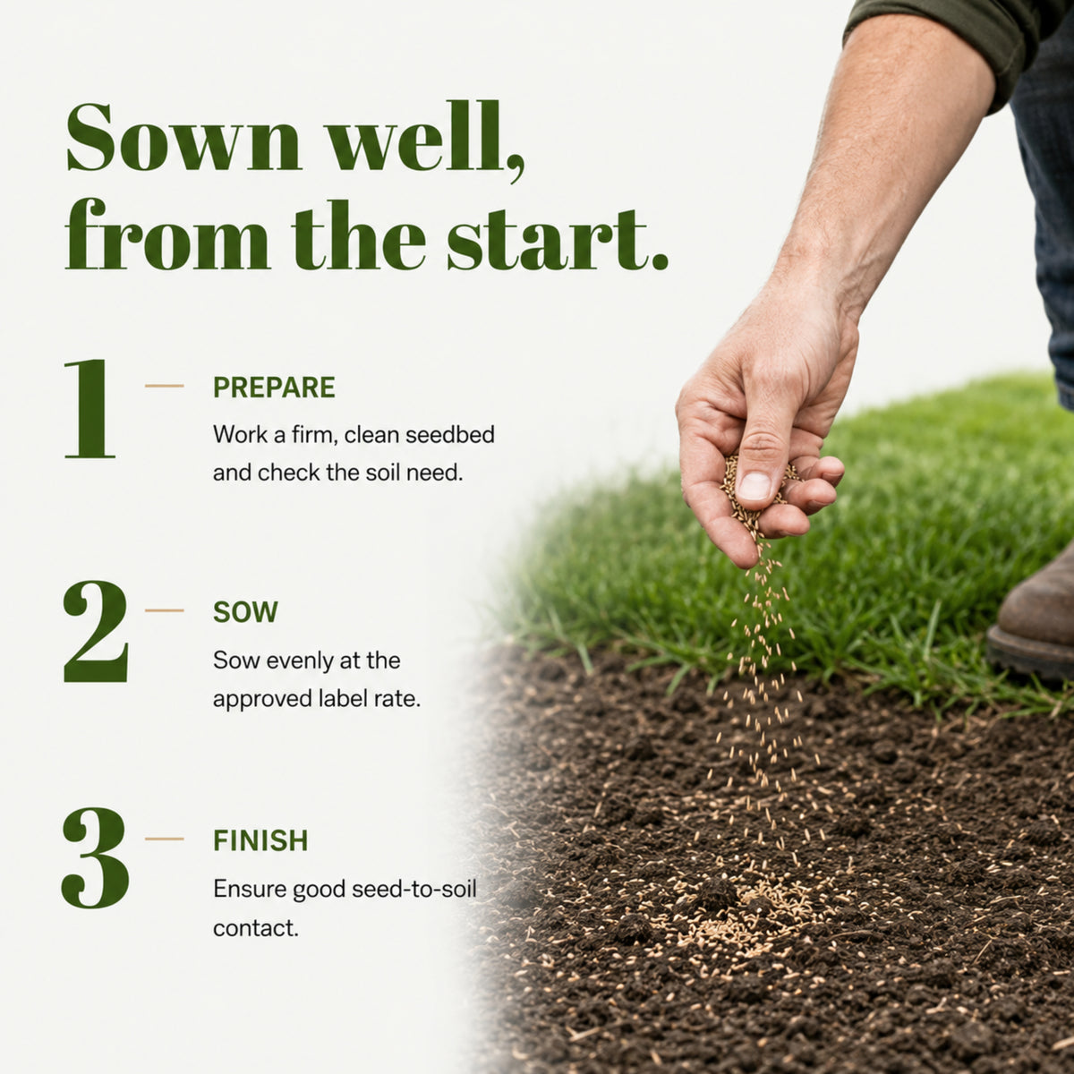 Wicked Tuff Turf Elite Fescue Blend Seed