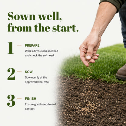 Wicked Tuff Turf Elite Fescue Blend Seed