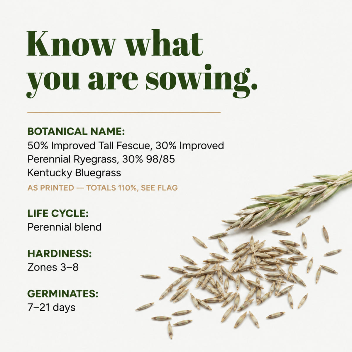 Wicked Tuff Turf Elite Fescue Blend Seed