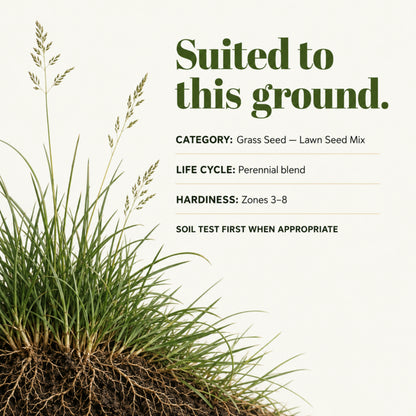 Wicked Tuff Turf Elite Fescue Blend Seed