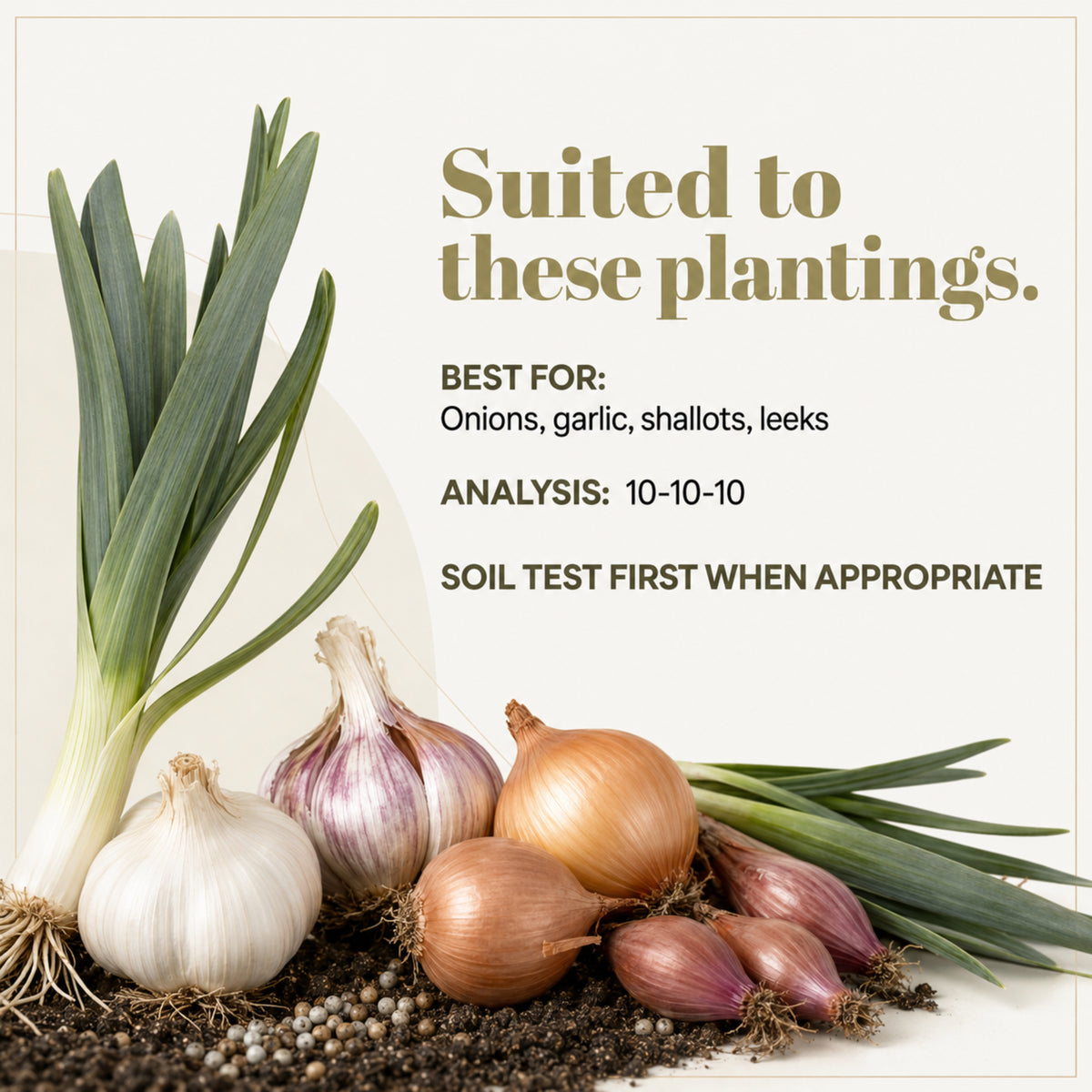 Wicked Growth Garlic Onion Fertilizer