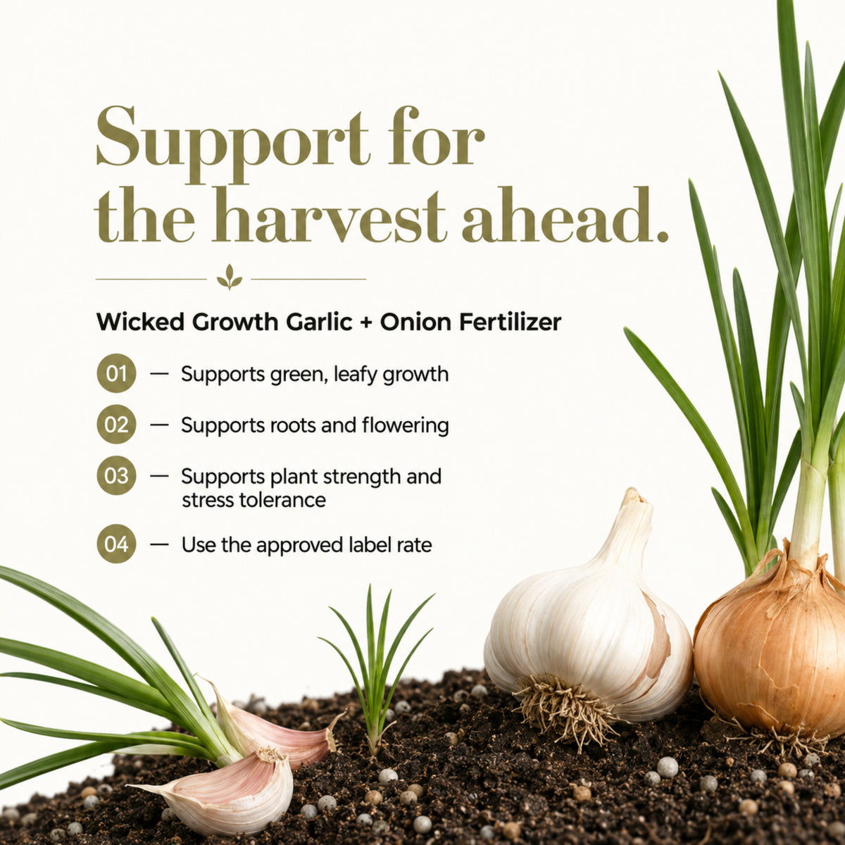 Wicked Growth Garlic Onion Fertilizer