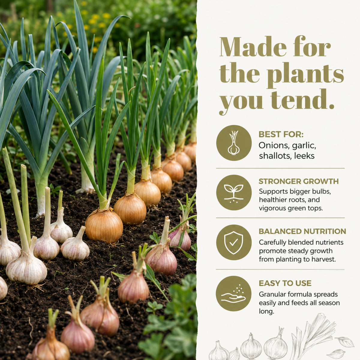 Wicked Growth Garlic Onion Fertilizer