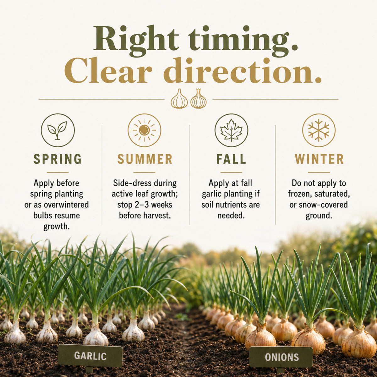 Wicked Growth Garlic Onion Fertilizer